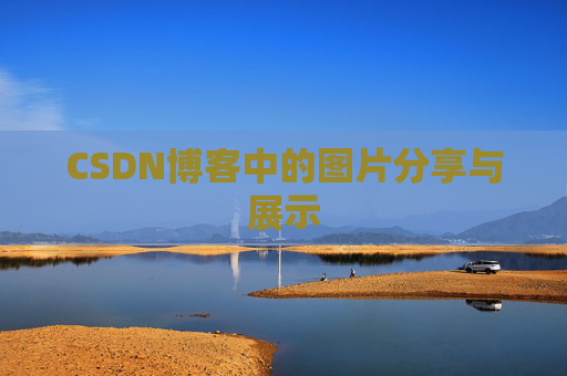 CSDN博客中的图片分享与展示